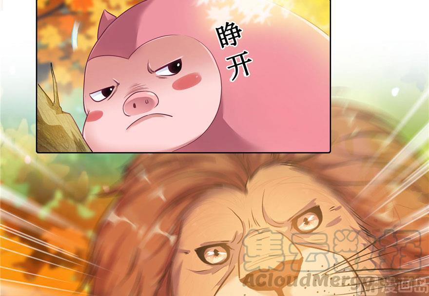 第187话 去见灵兽前辈52