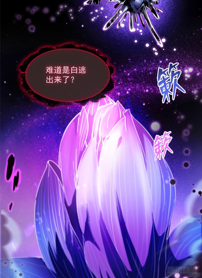 第374话 你就当我人傻钱多吧44
