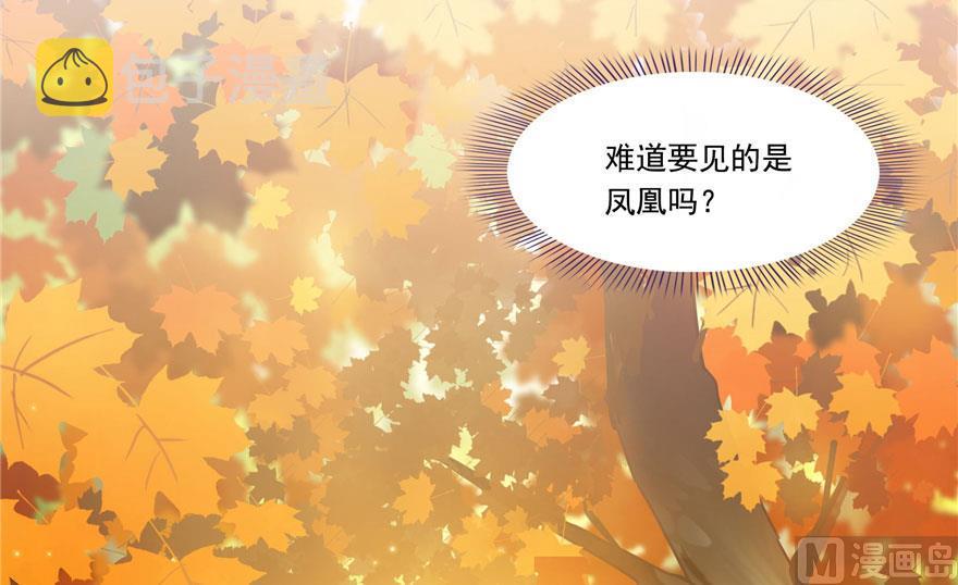 第187话 去见灵兽前辈41