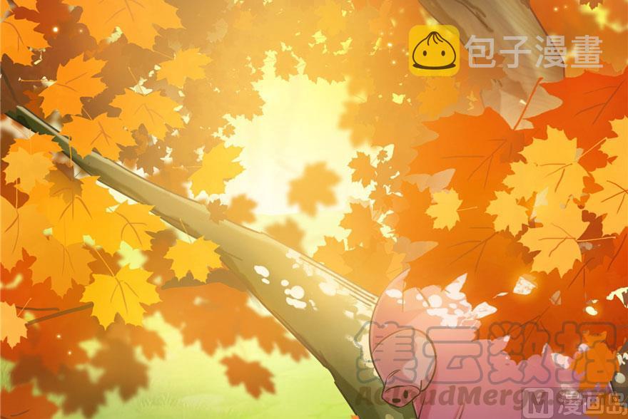 第187话 去见灵兽前辈42