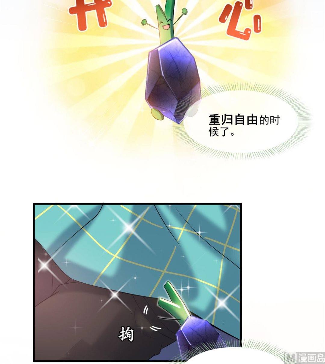 第258话 葱娘在行动11