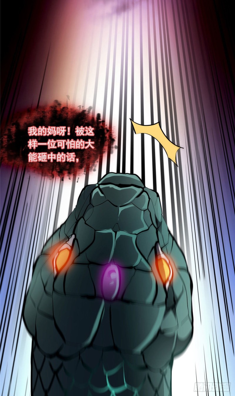 348 黑色的白尊者11
