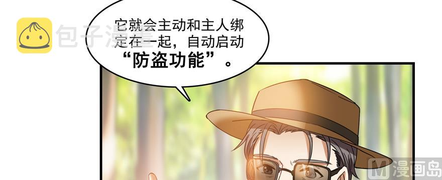 第248话碧玉袈裟的防盗功能25