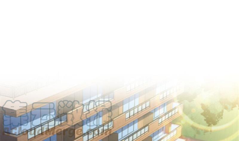 第151话 罢了罢了，切就切吧3