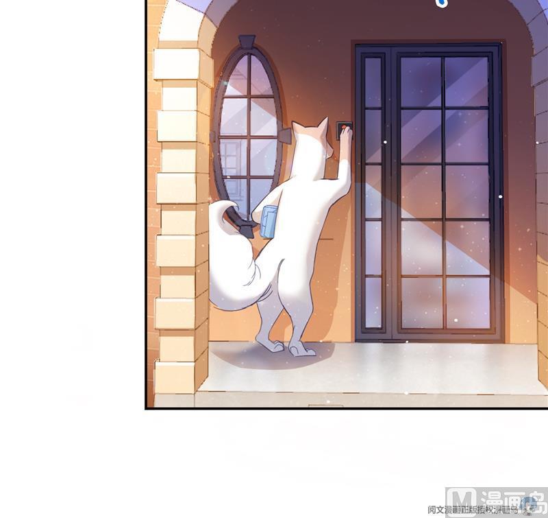 第79话 寒气仙箱？38