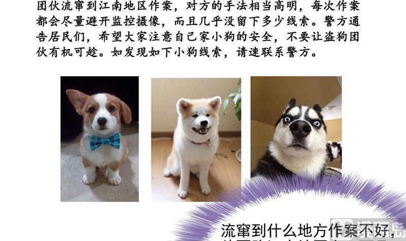 第107话 白前辈的自拍78