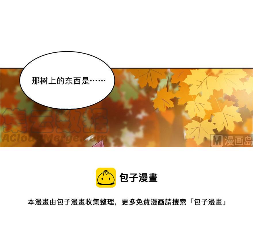 第187话 去见灵兽前辈45