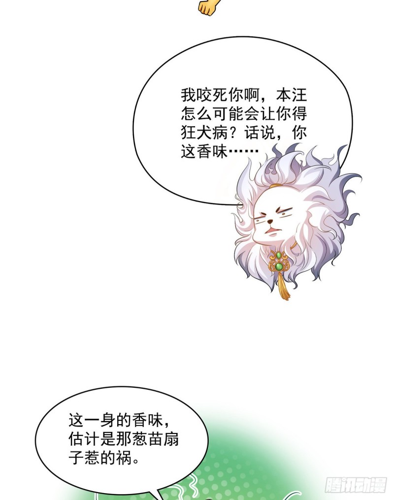 第365话 上上上上签2