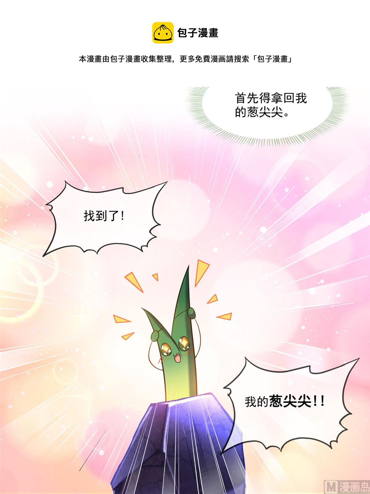第258话 葱娘在行动12