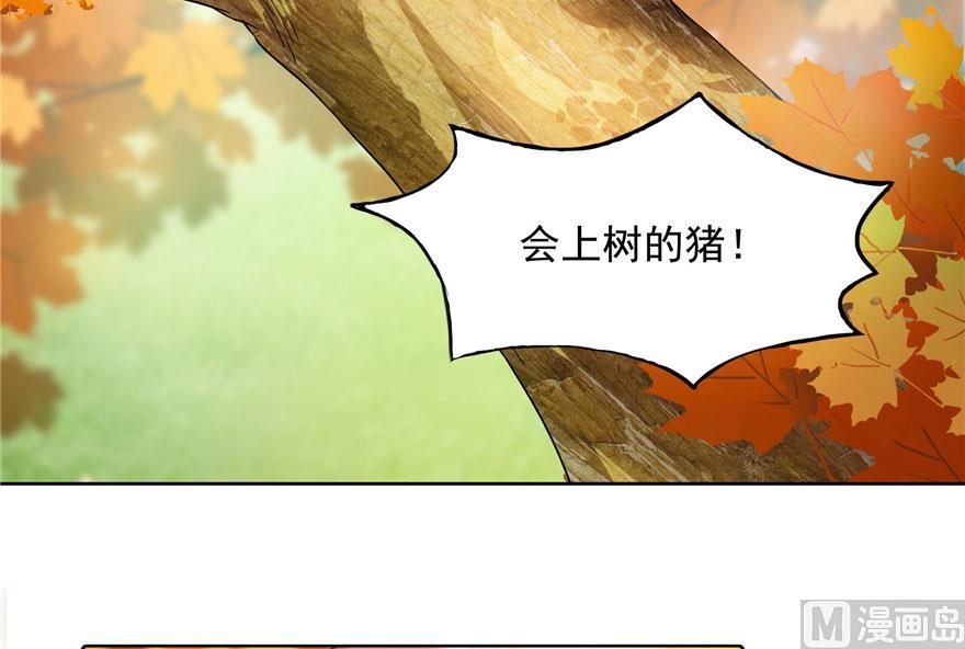 第187话 去见灵兽前辈51