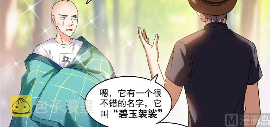第247话 书航小友，你的袈裟43
