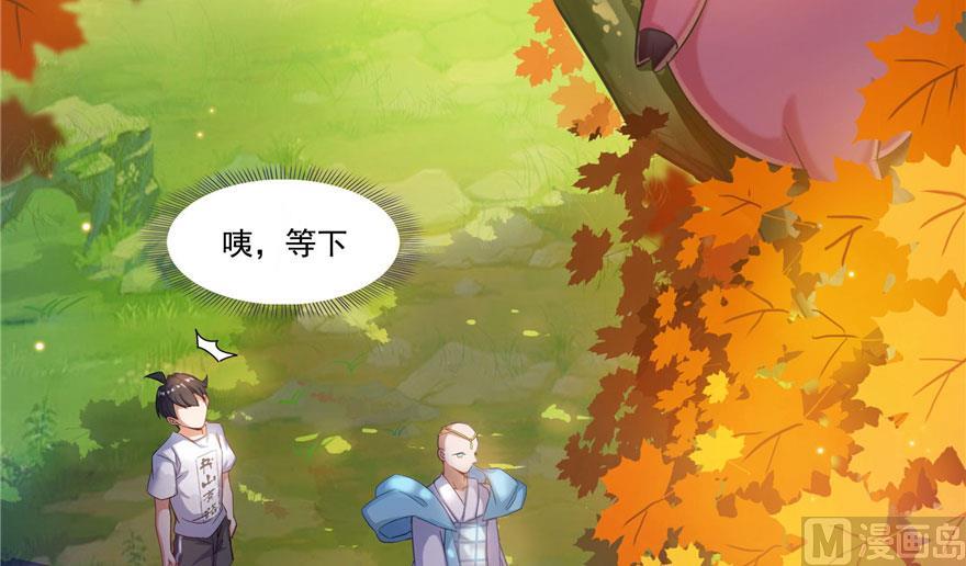 第187话 去见灵兽前辈43