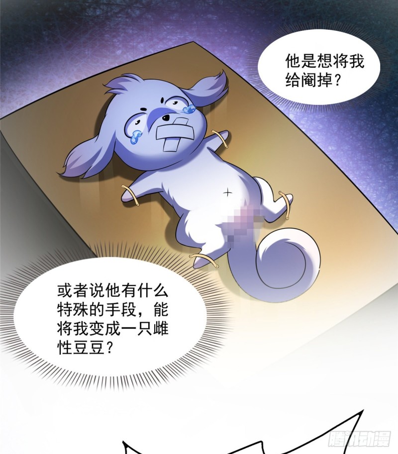 325 药师兄牀铺再预定半月28