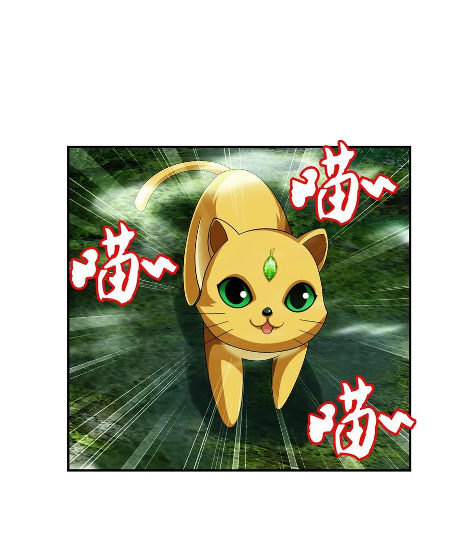 493 小猫？咪？27