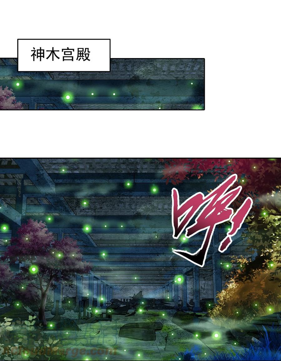 493 小猫？咪？18
