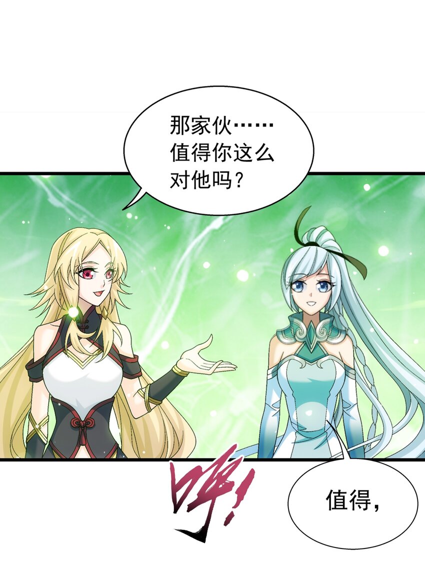 511 九阳神芝35