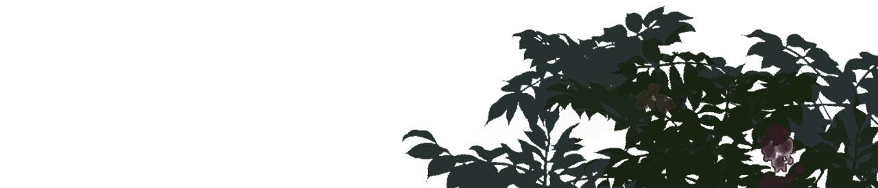 第39话 再进医院49