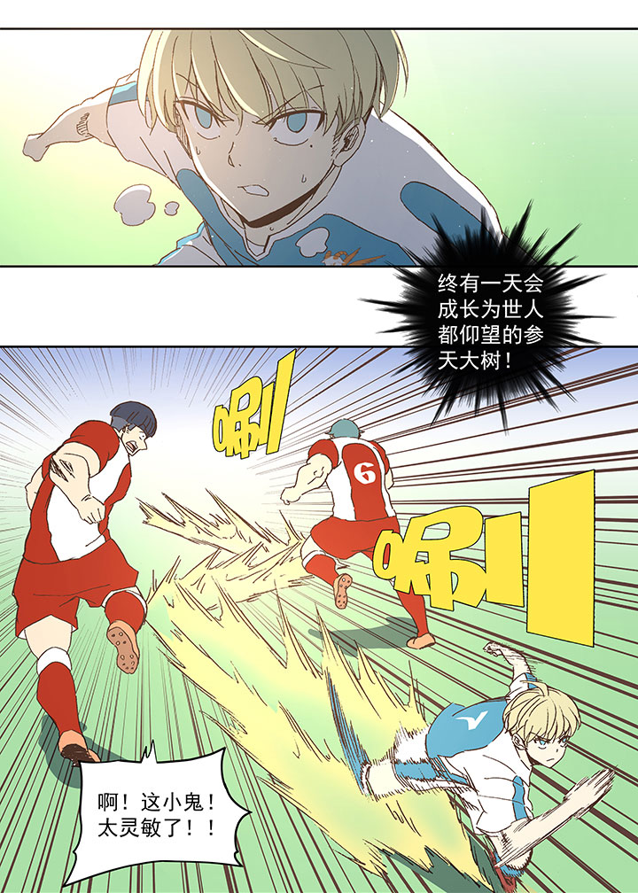 第七十六波 种子26