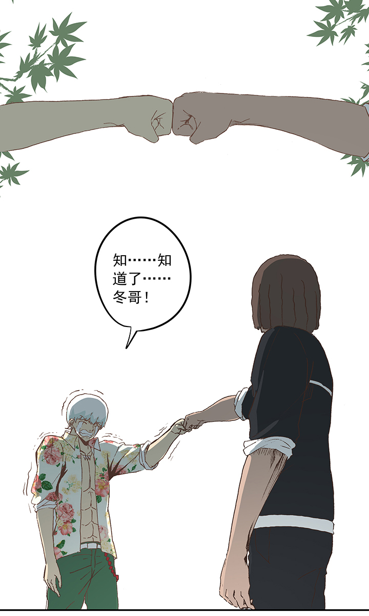 第十九波  重返绿茵场20