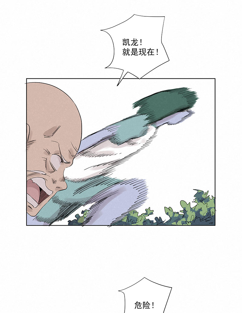 第三百二十六波 求偶27