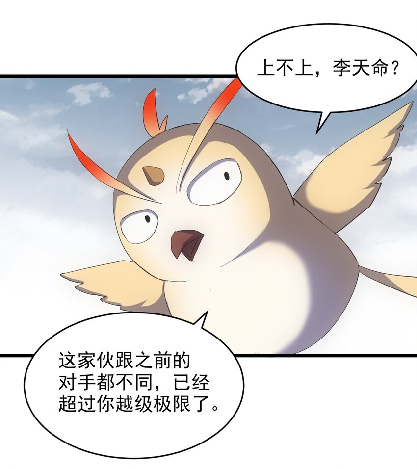 136 对手33