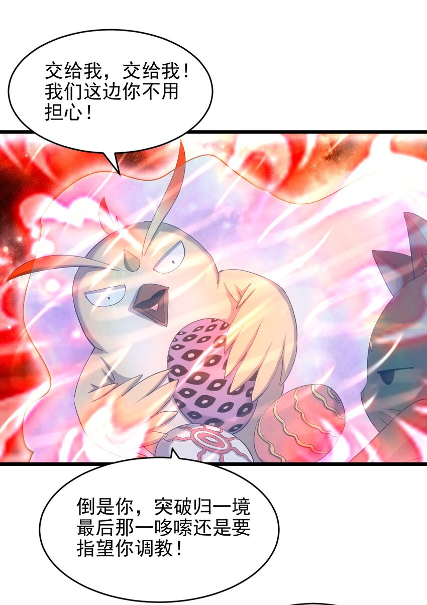088 猪脸肿不肿？5