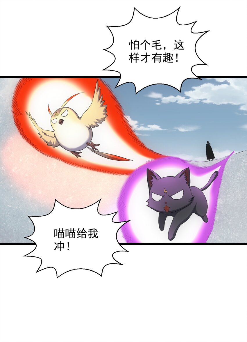 095 赌约40