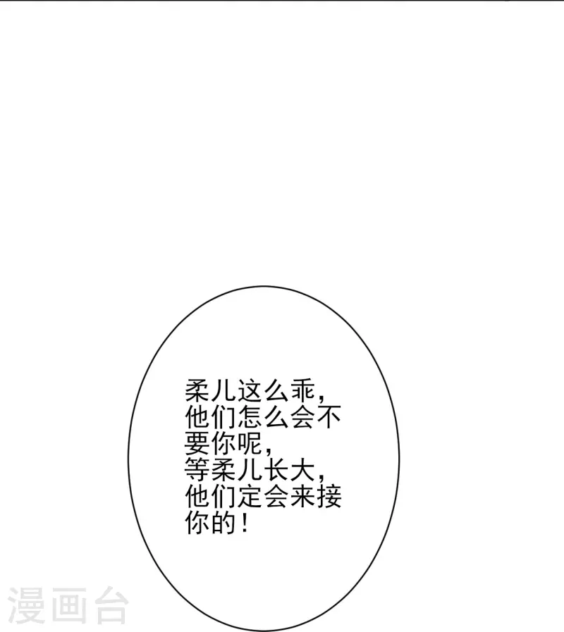 第256话 叶柔的身世30