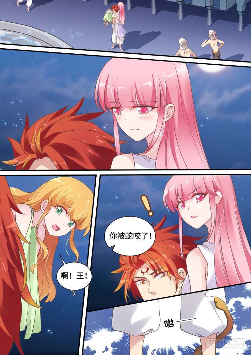 农夫与蛇？7