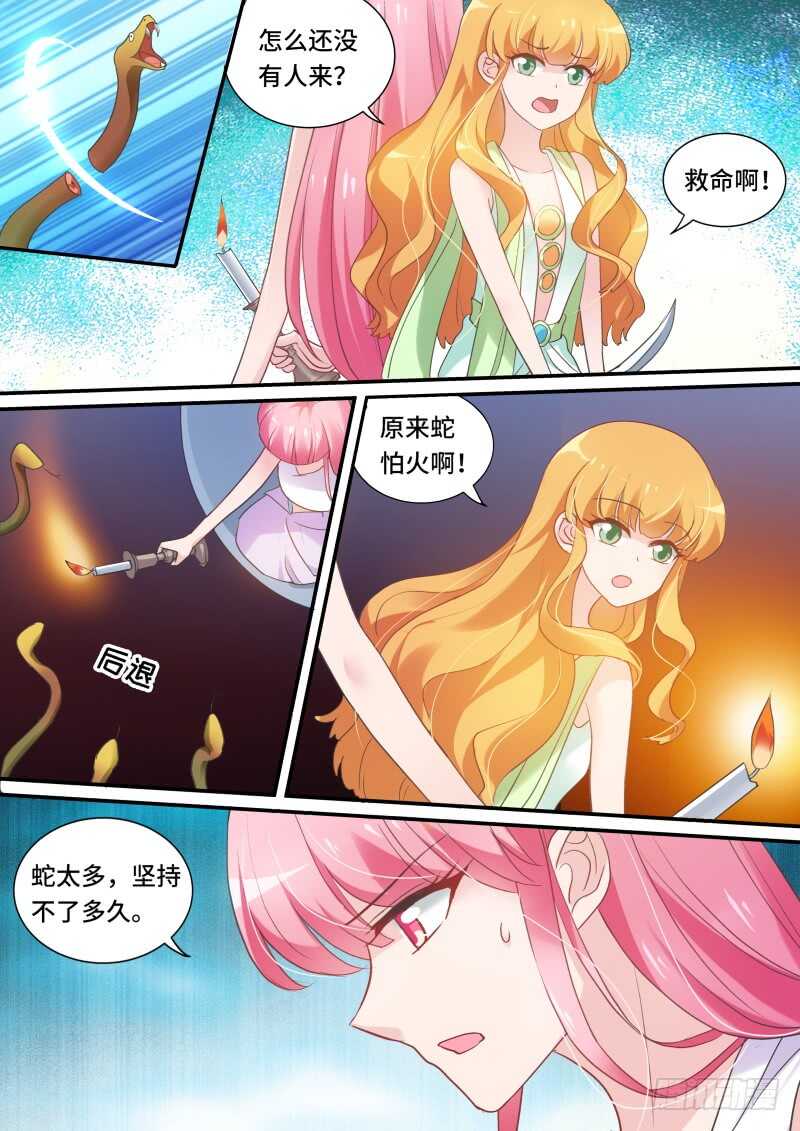 农夫与蛇？2