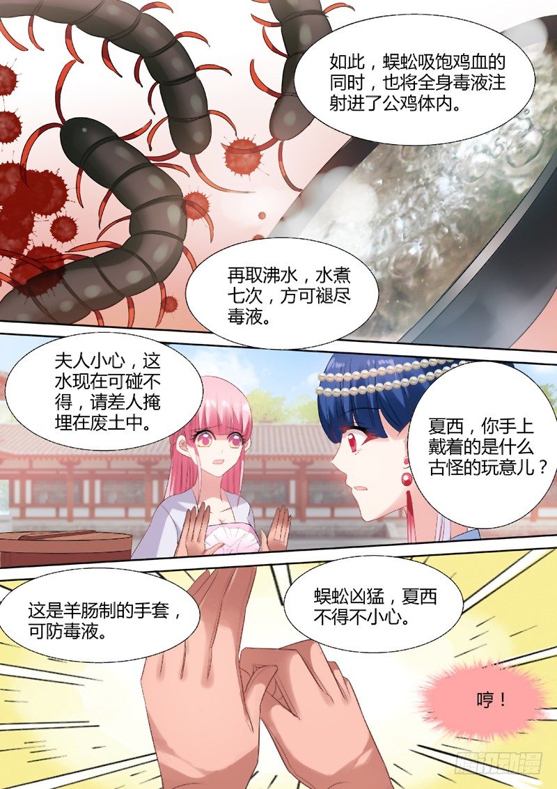 烹饪蜈蚣？！4
