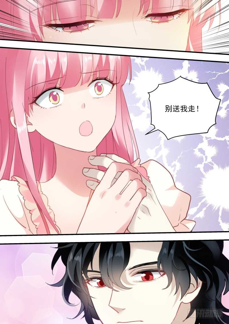 万能的橘子2