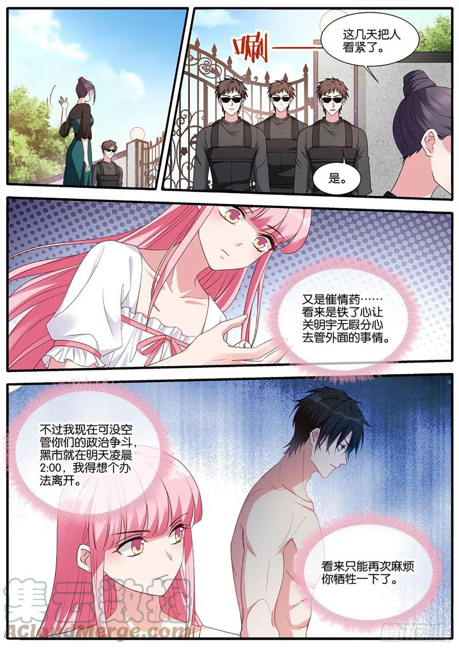 新的计谋3