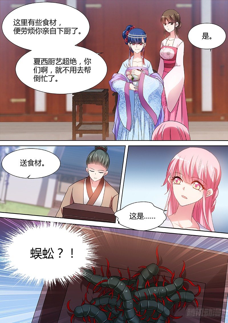 来自正宫的挑战3