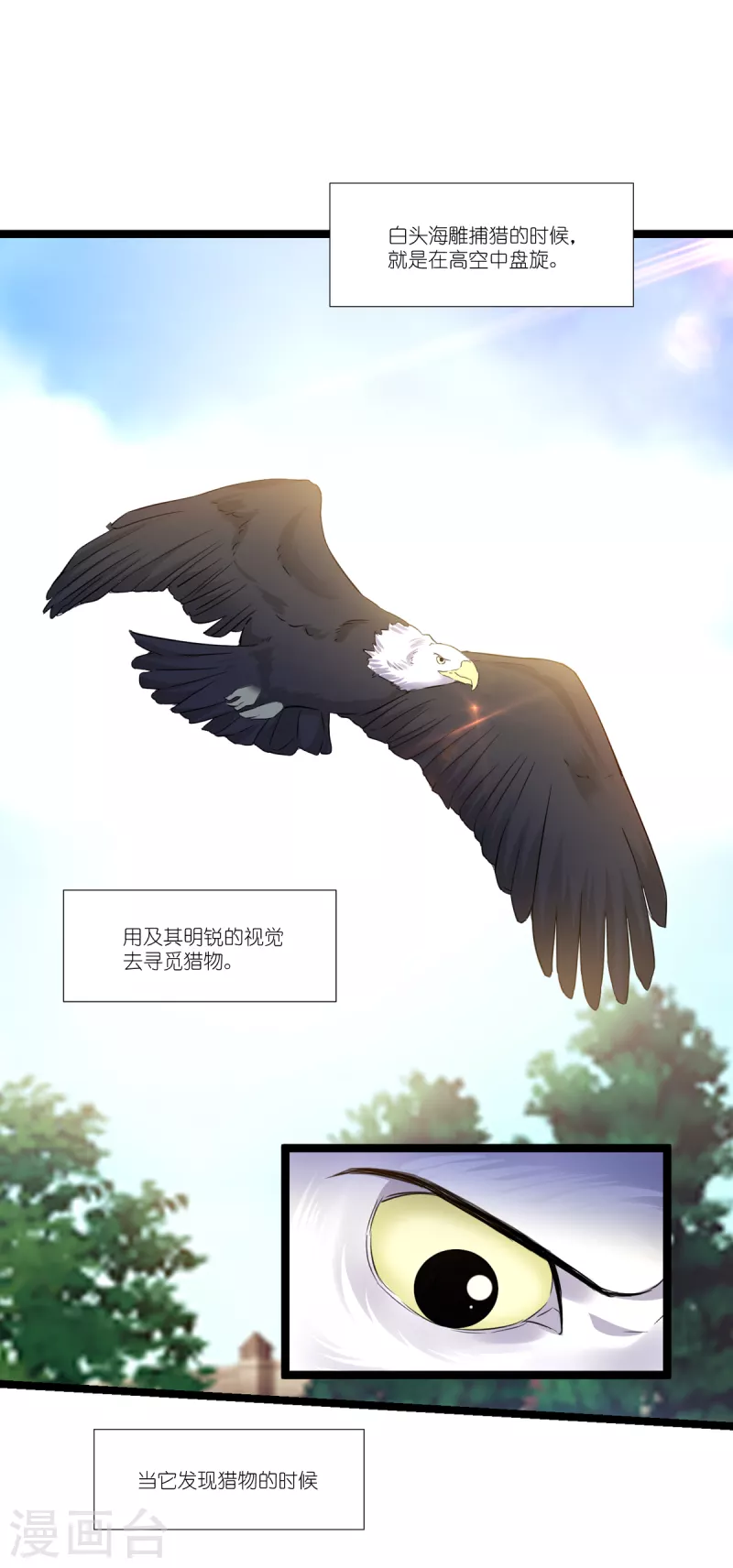 第223话 呵，有趣1
