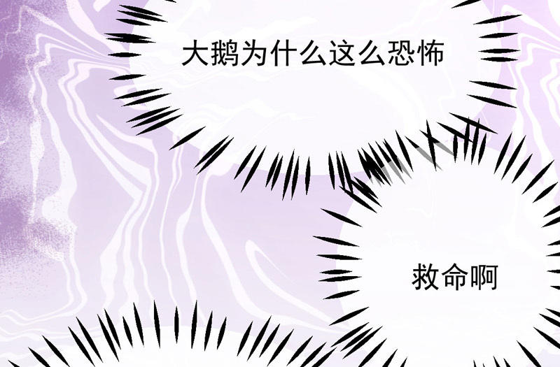 第1话 鹅追狗叫的夏天42