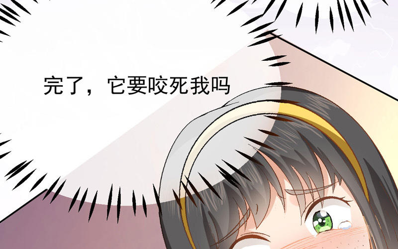 第1话 鹅追狗叫的夏天43