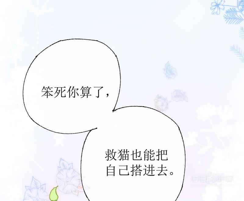 预告19