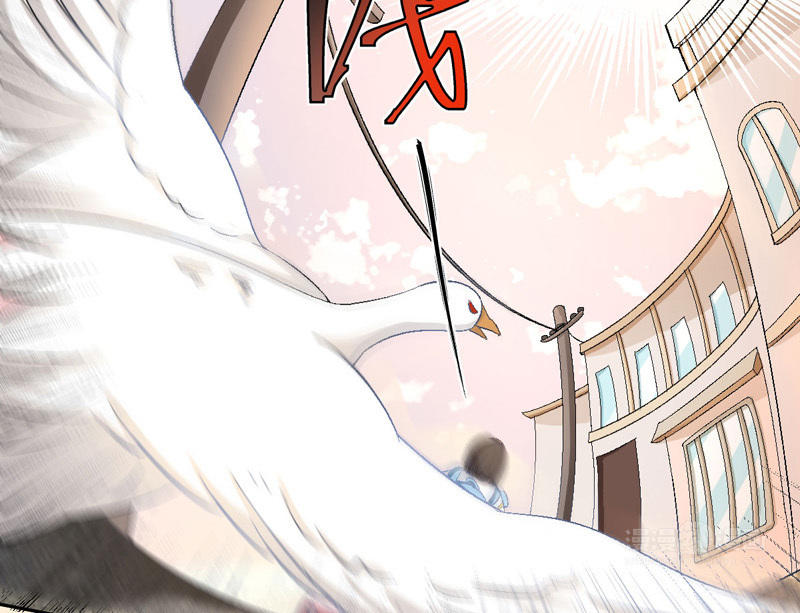 第1话 鹅追狗叫的夏天39