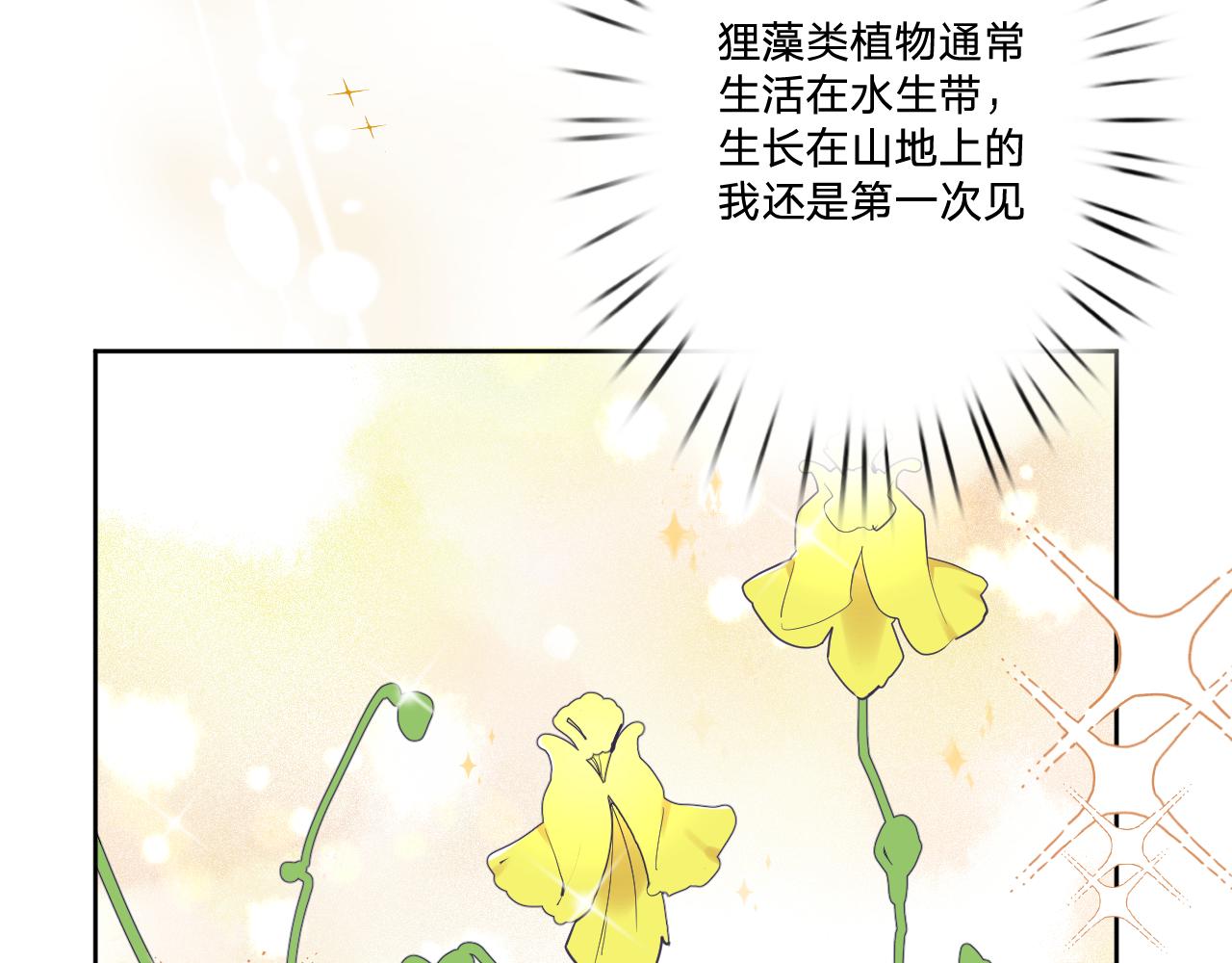 第二十五话：信号12