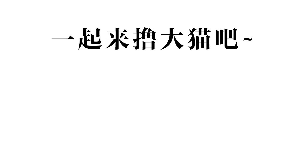 第三十三话：步步惊魂141