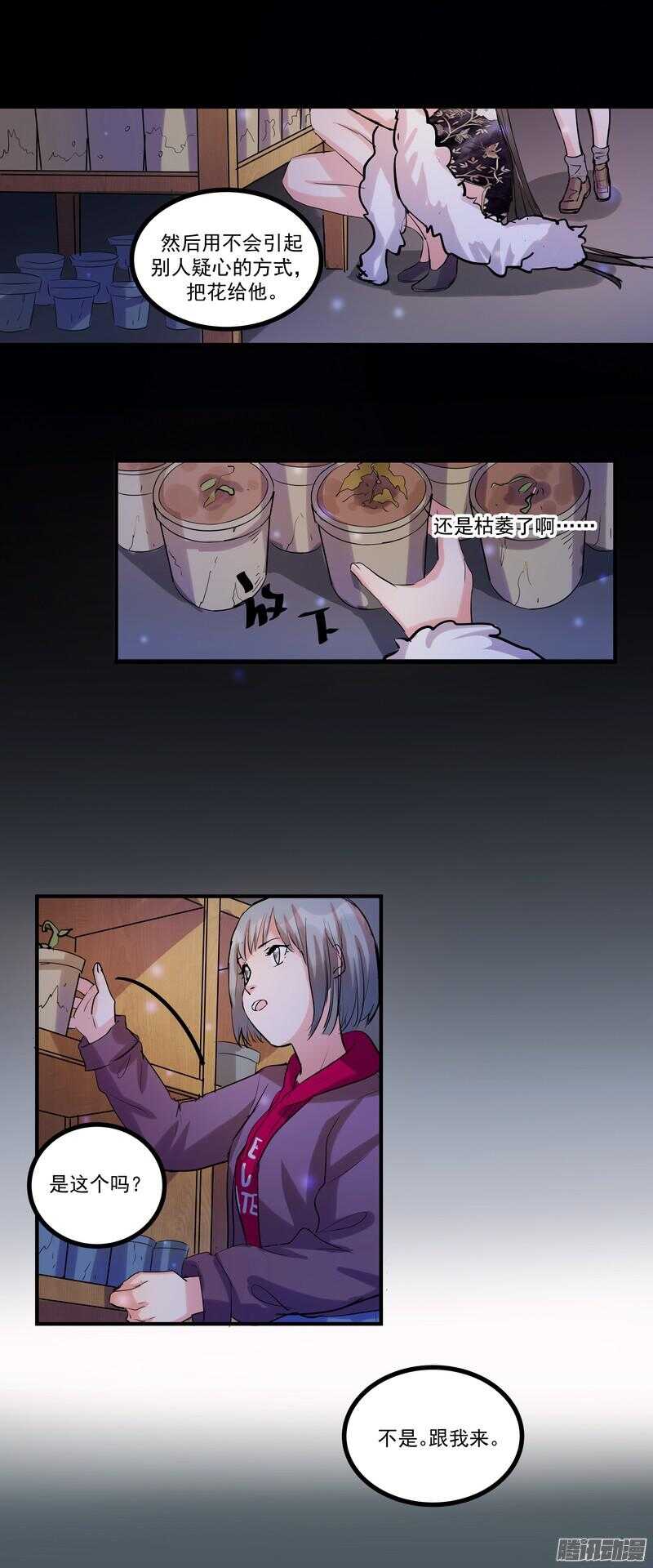第十七话：接近12
