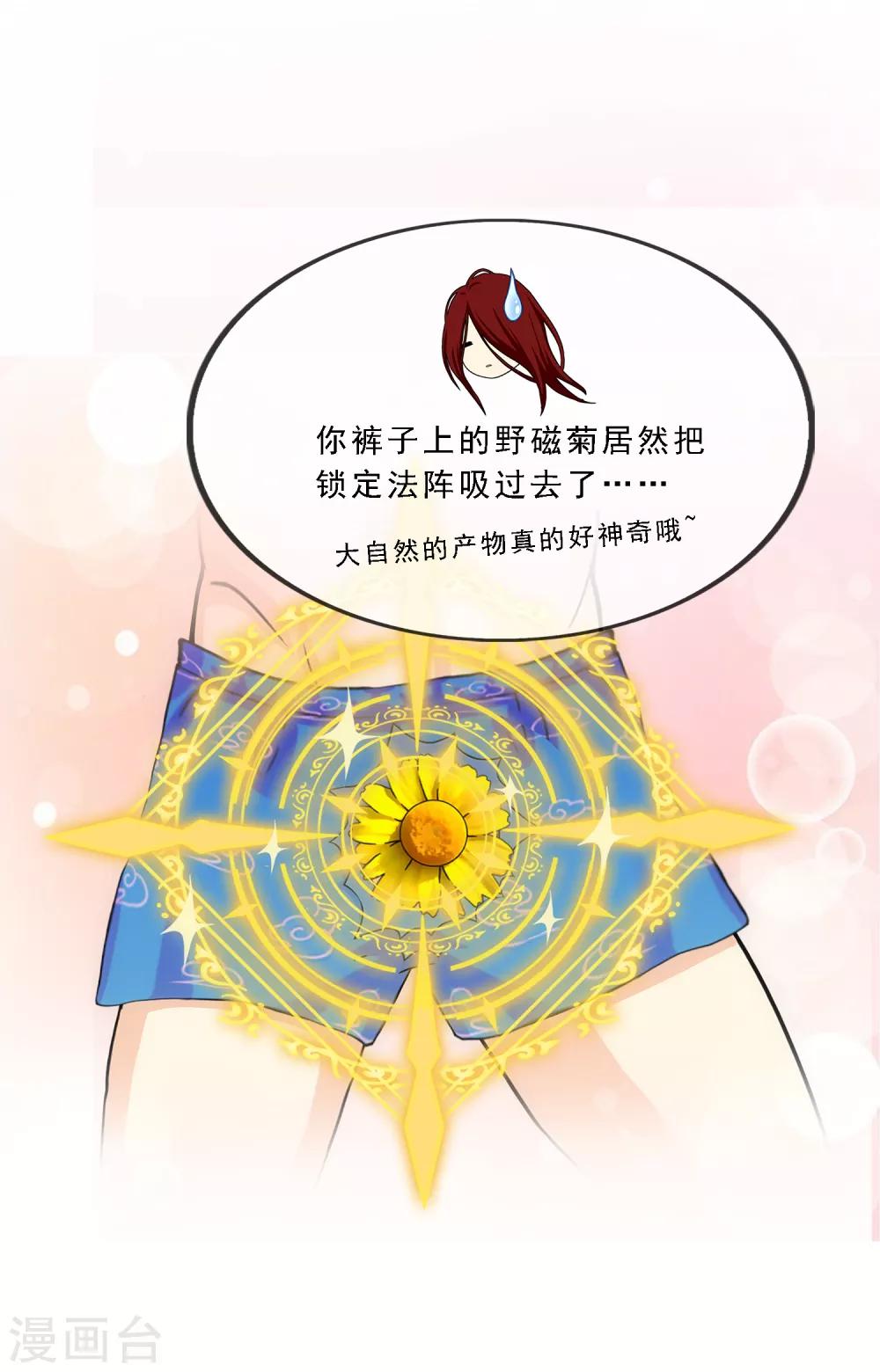 第163话 野磁菊28