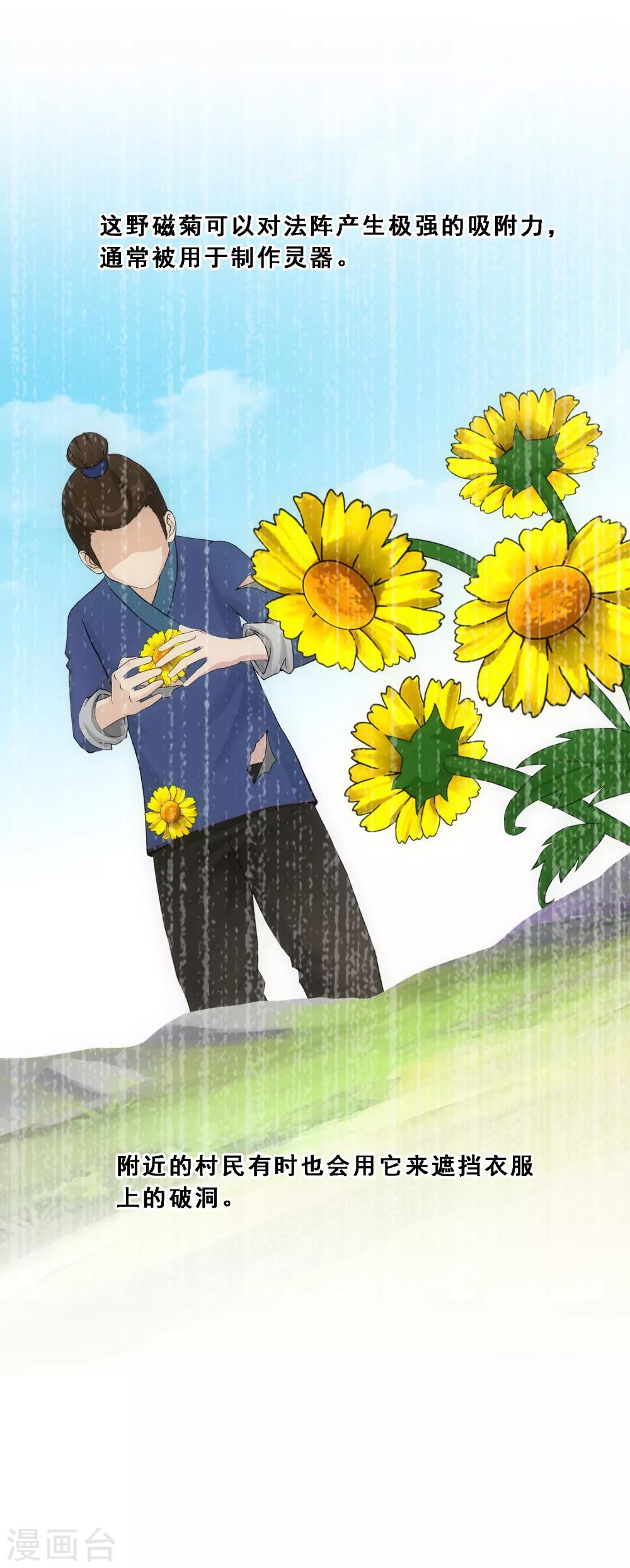 第163话 野磁菊5
