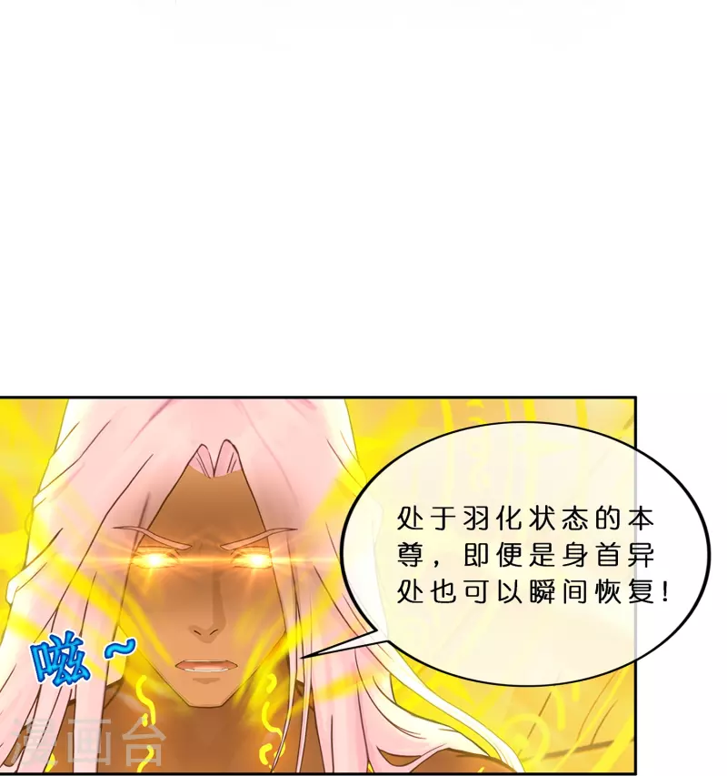 第368话 巅峰之战217