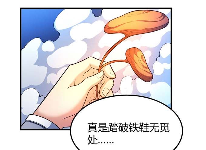 第170话 如何瓜分（1）10