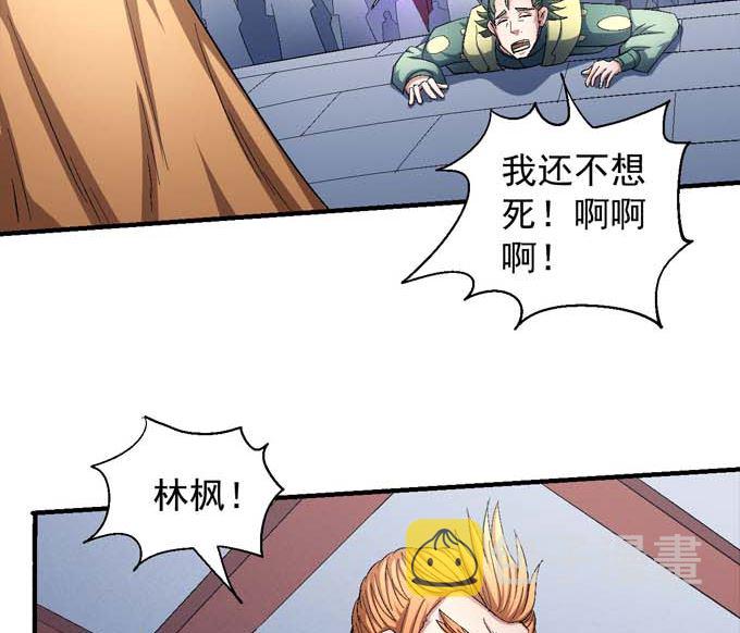 第156话 杀禹天行（3）29