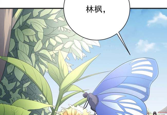 第167话 师兄妹（2）15