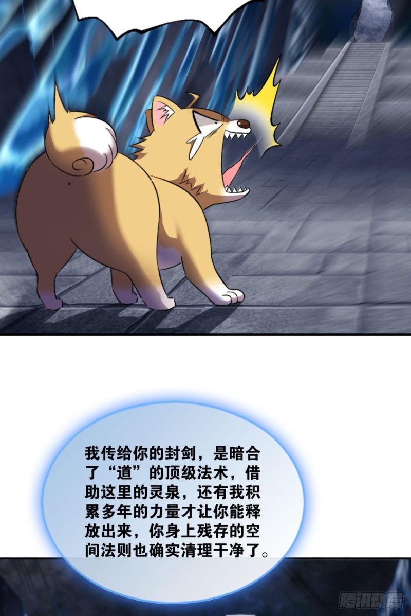 再见了，狗系统！10