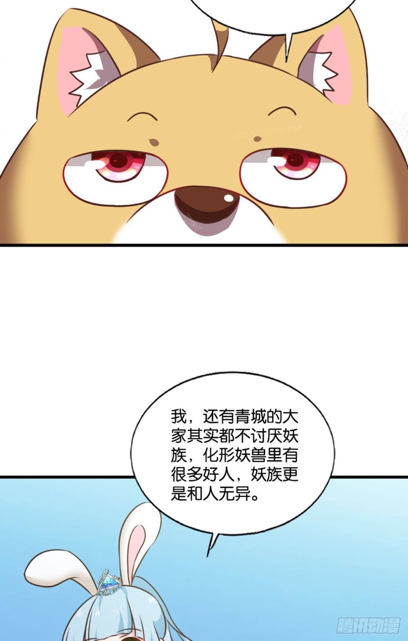双赢方案31